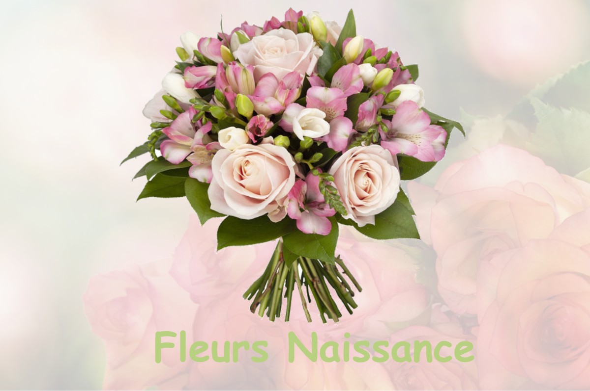 fleurs naissance LESCURE-D-ALBIGEOIS